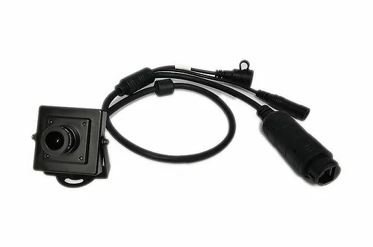 239240.jpg